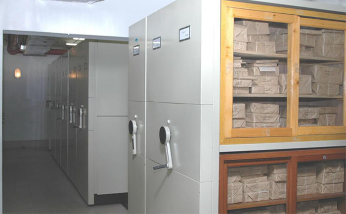 ^Ʒܼ܏S^ƷܼИ(bio)Ʒơ